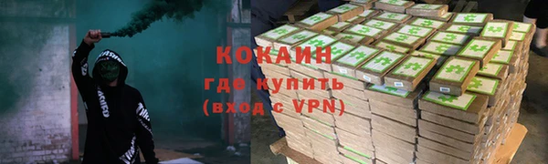 2c-b Горнозаводск