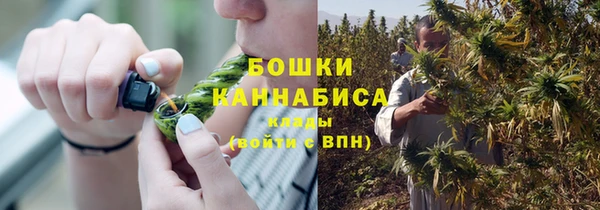 2c-b Горнозаводск